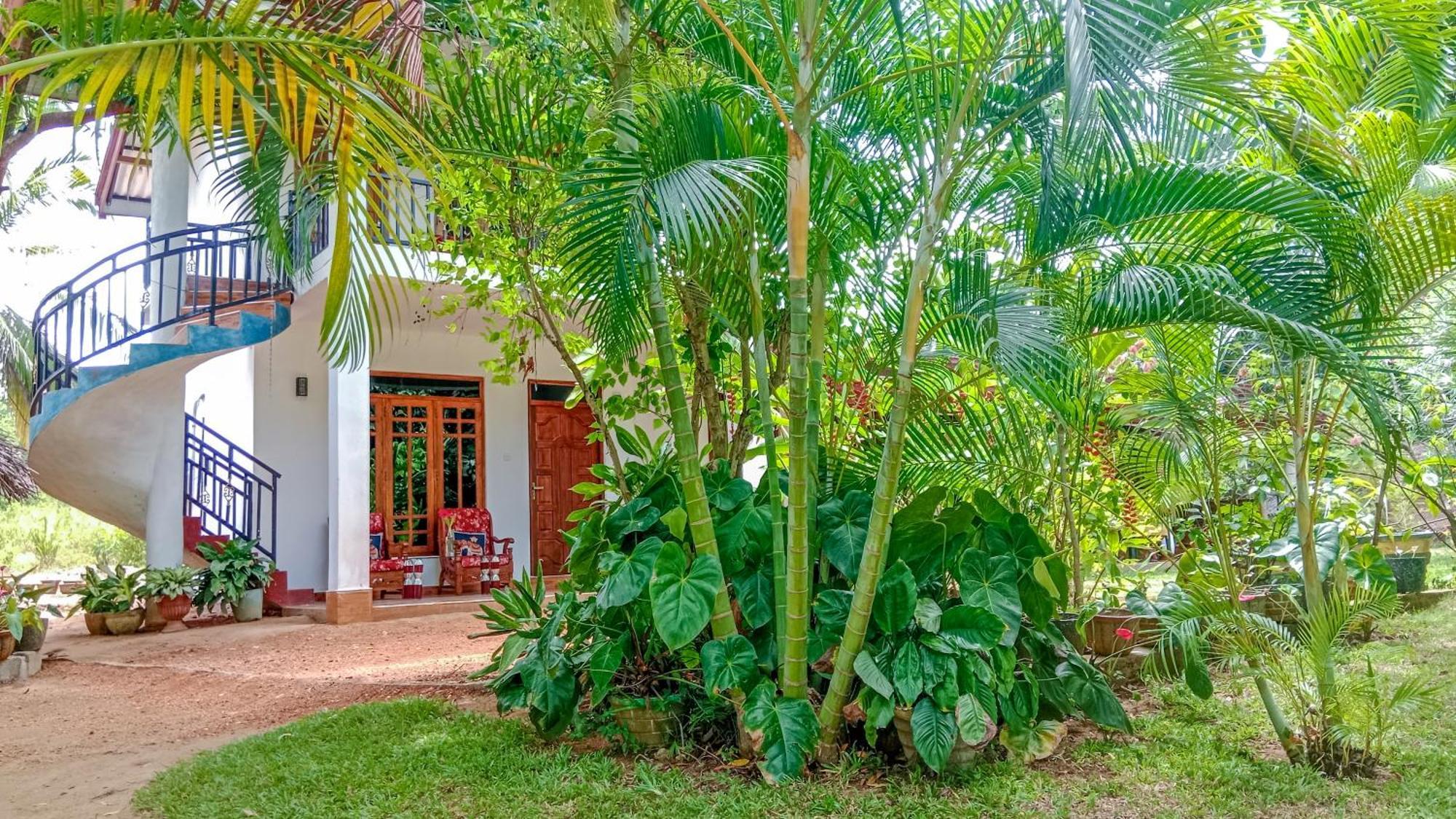 Gimhana Homestay Sigiriya Exterior foto