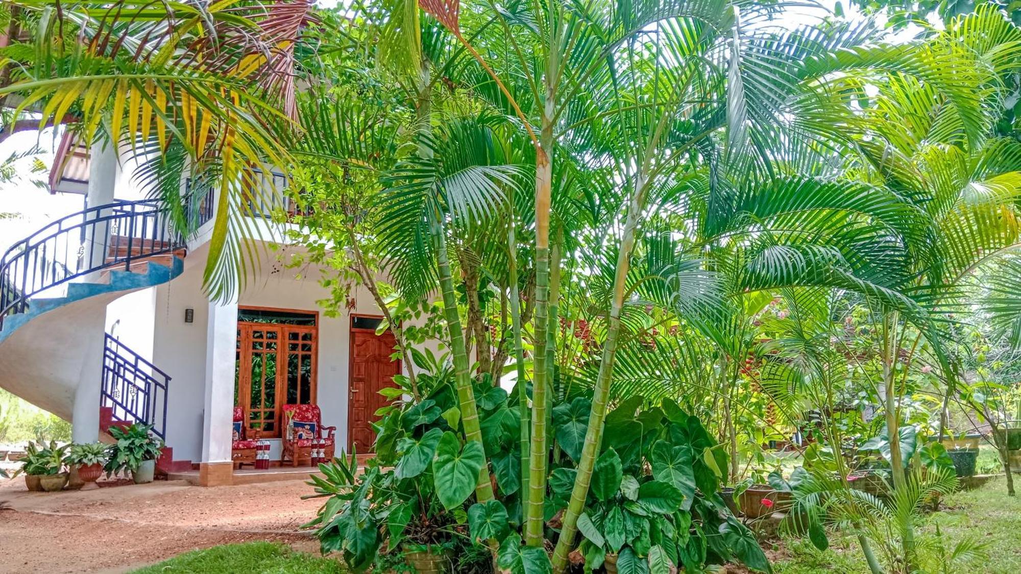 Gimhana Homestay Sigiriya Exterior foto